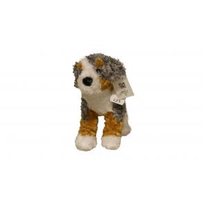 Australian shepherd