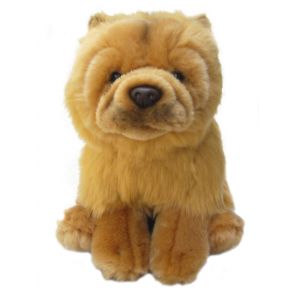 Chow chow