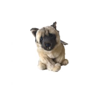 American akita