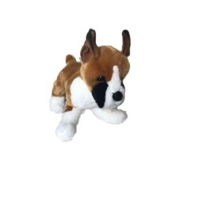 Boxer